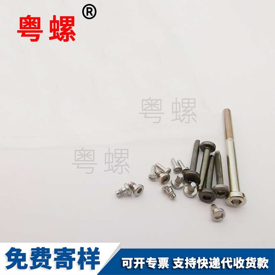 廠家批發內六角螺絲 不銹鋼螺絲 鐘表裝飾釘 廠家批發內六角螺絲 不銹鋼螺絲 鐘表裝飾釘
