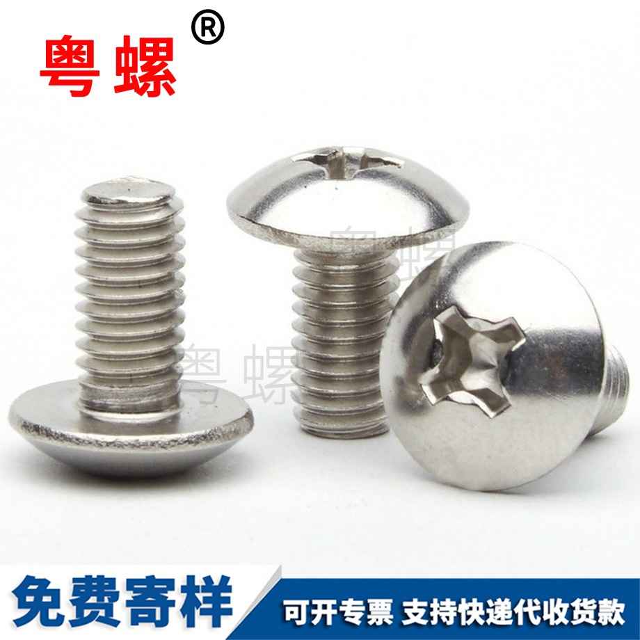 西雙版納大扁頭螺絲 西雙版納大扁頭螺絲