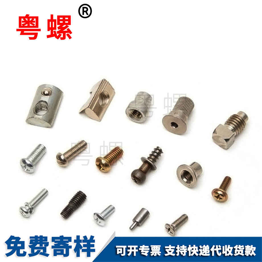 自貢特殊螺絲 自貢特殊螺絲