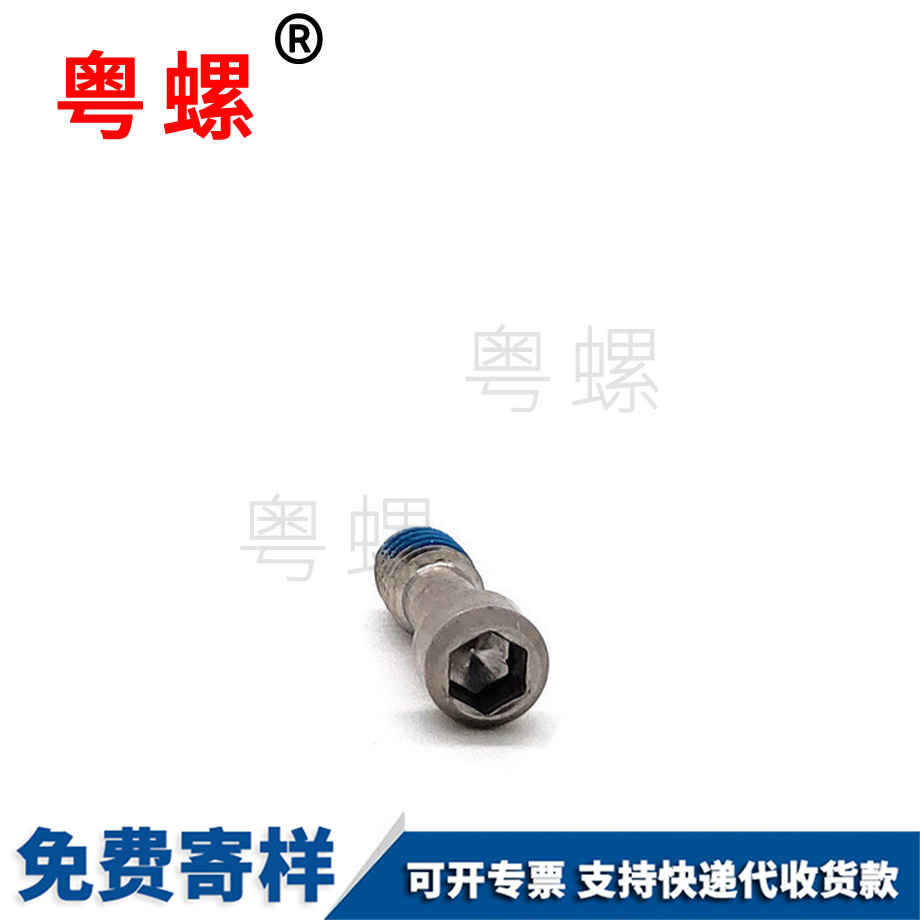 訂制小杯頭松西雙版納不脫螺絲