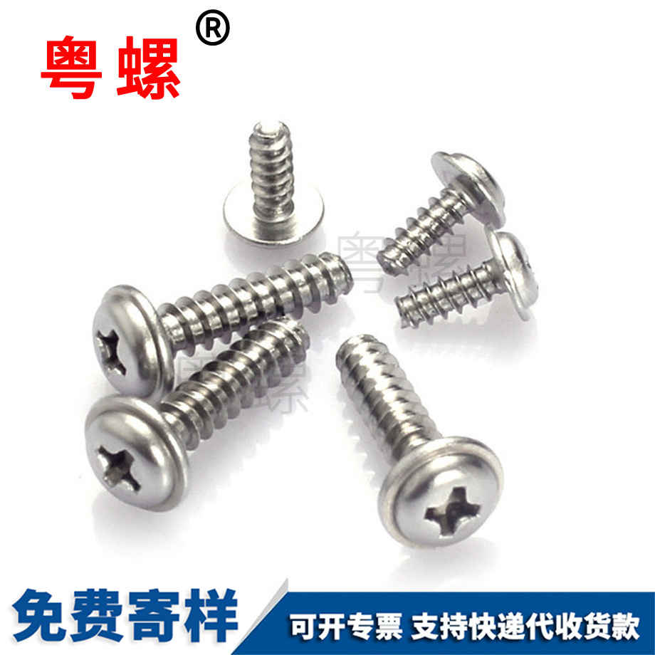 七臺河盤頭十字圓頭帶墊七臺河七臺河平尾七臺河自攻螺絲 七臺河盤頭十字圓頭帶墊七臺河七臺河平尾七臺河自攻螺絲