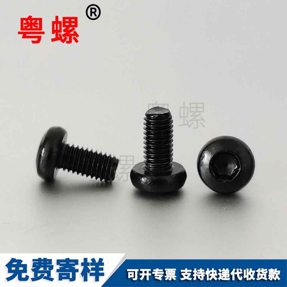 生產拉薩防盜螺絲