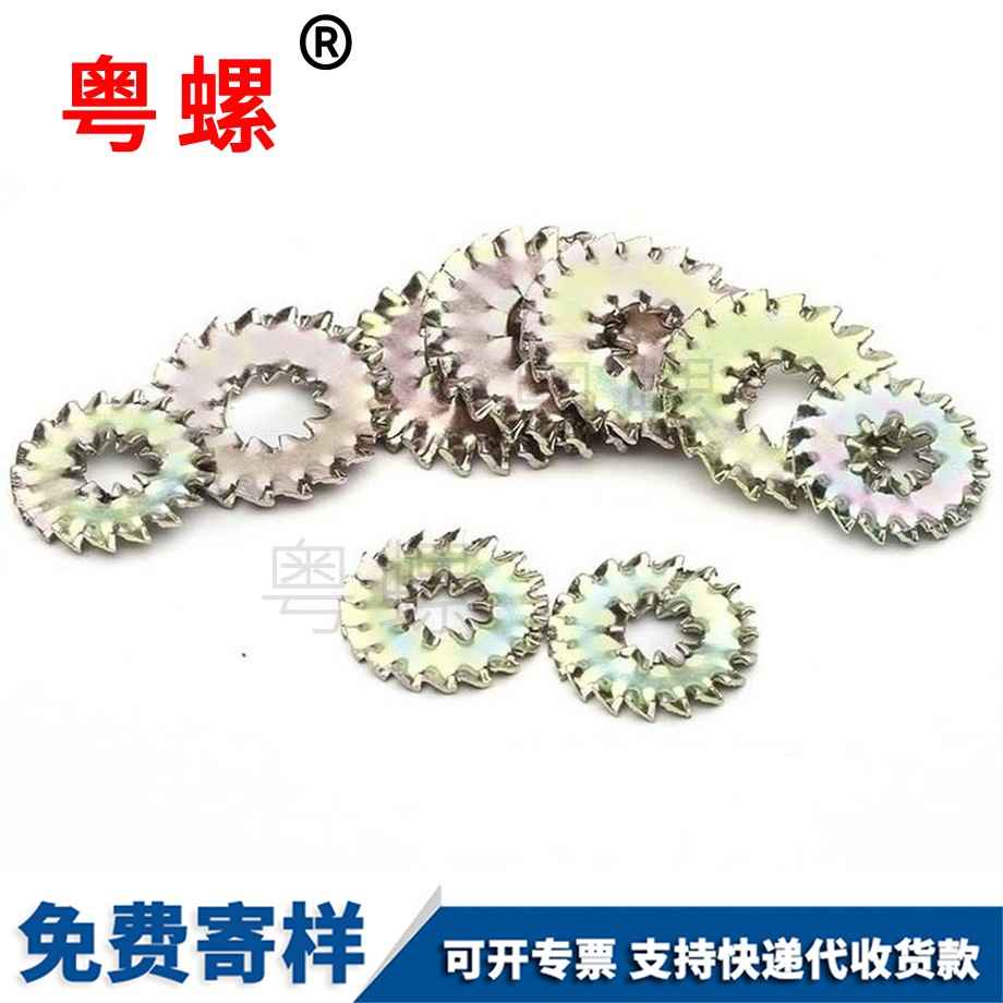 西雙版納鎖緊墊圈 西雙版納鎖緊墊圈