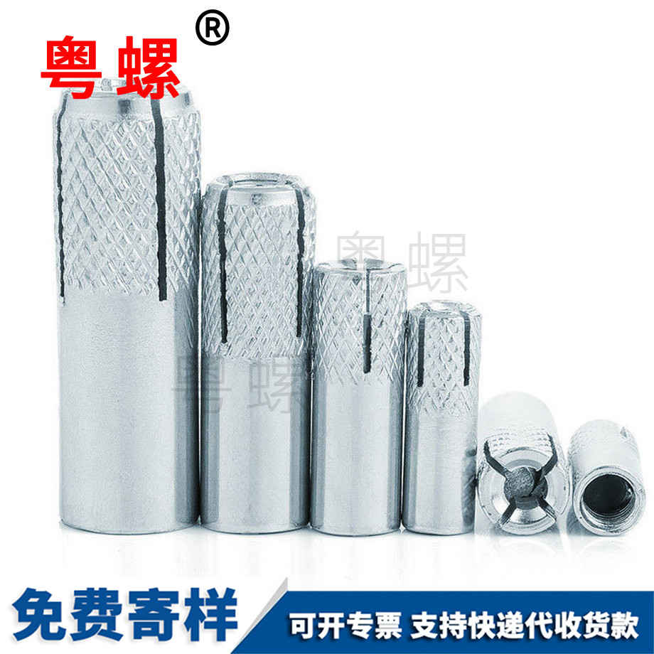 安順內膨脹套管壁虎