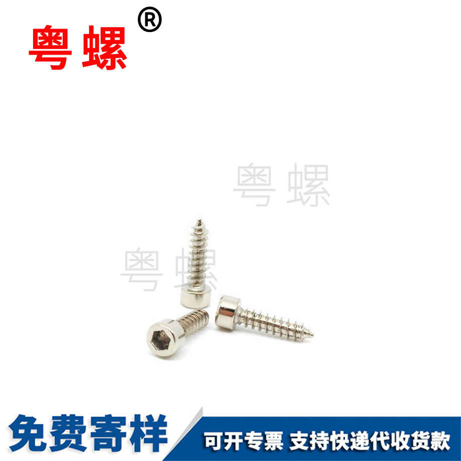 鍍鎳圓柱頭內六角尖尾自攻