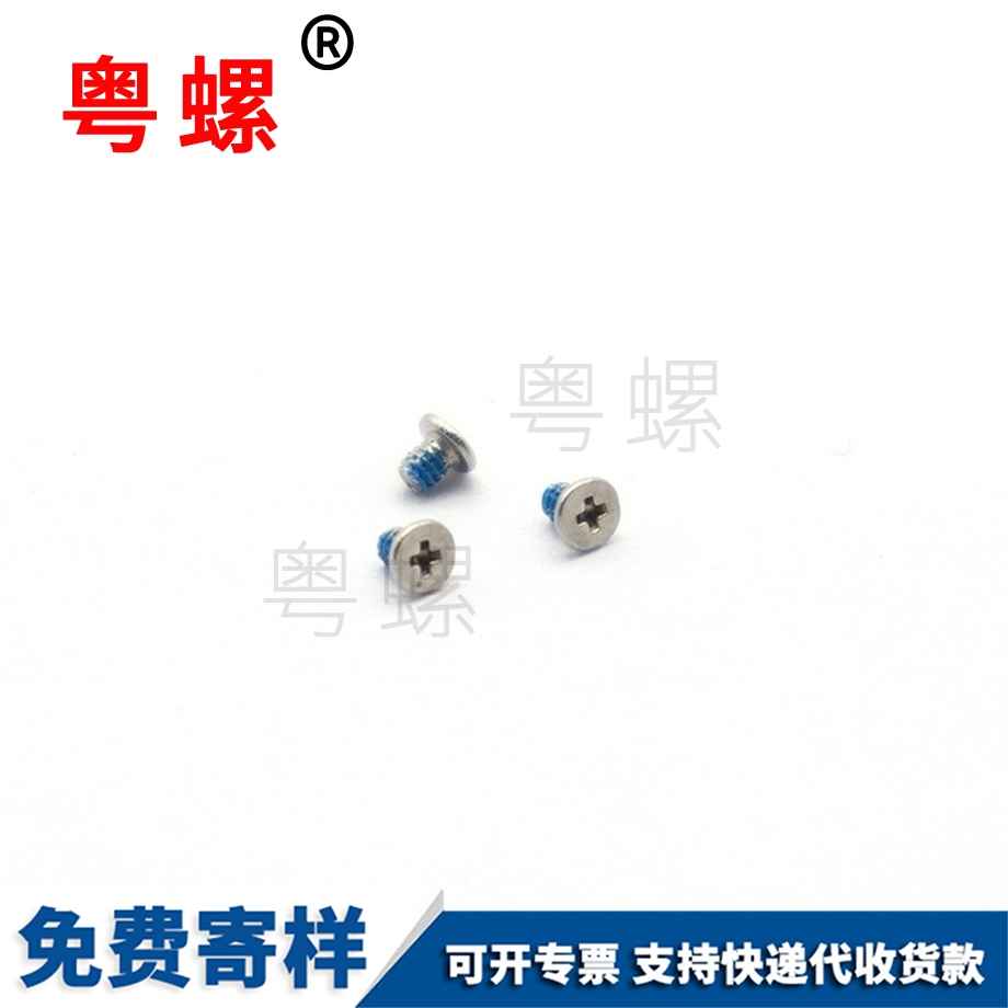 不銹鋼西雙版納電子螺絲 不銹鋼西雙版納電子螺絲