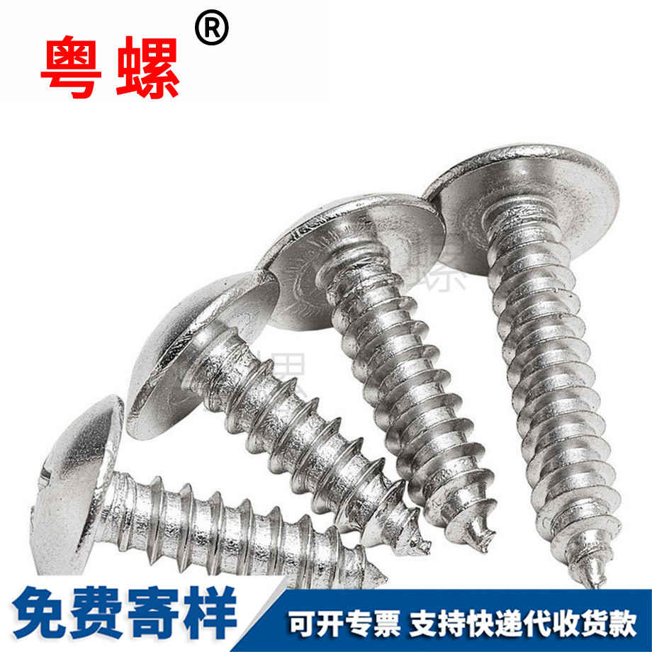 大扁頭自攻螺絲釘 大扁頭自攻螺絲釘