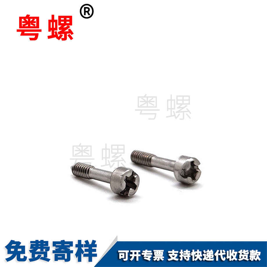 生產加厚西雙版納圓柱頭螺絲