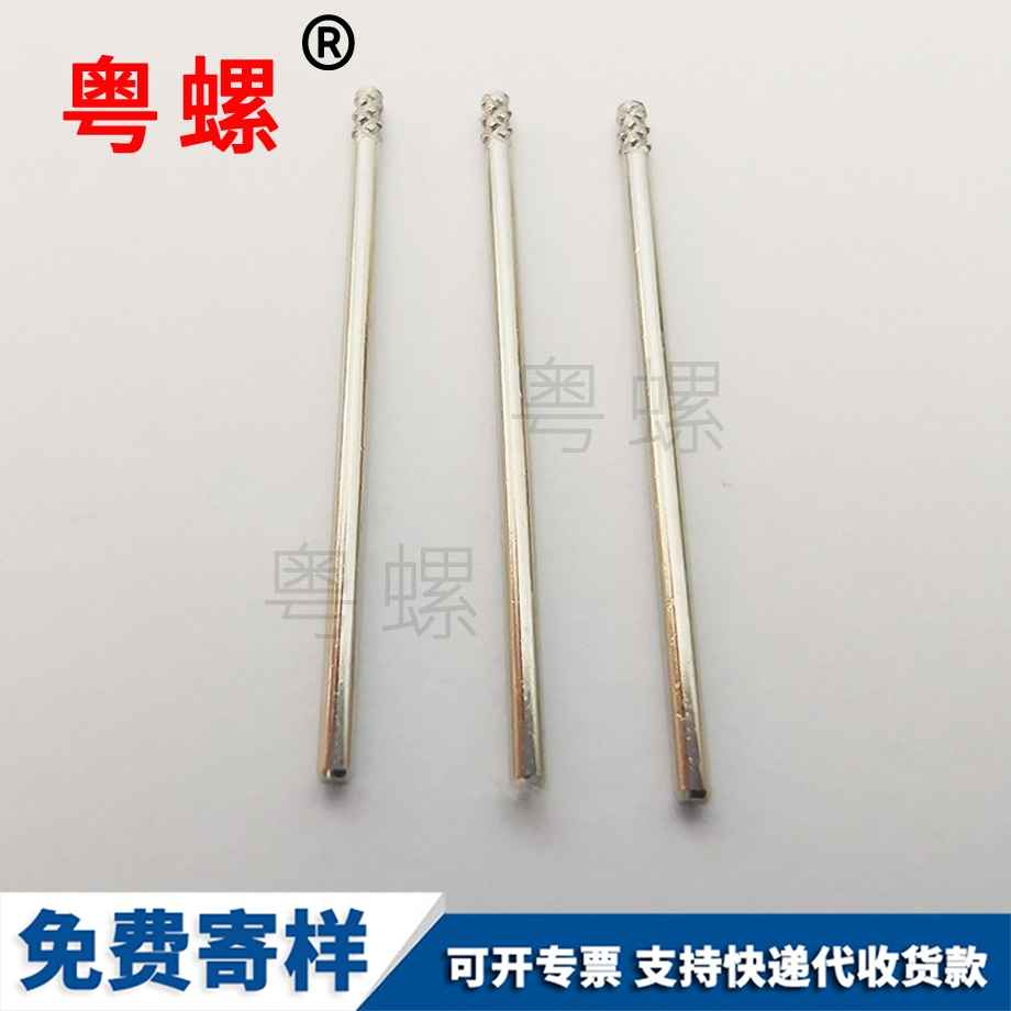 圓頭西雙版納螺絲釘