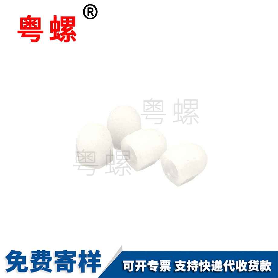 西雙版納蓋形螺母 西雙版納蓋形螺母