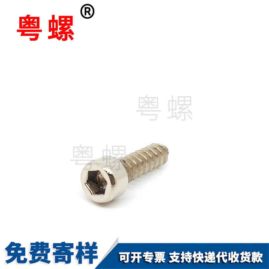 加工杯頭內六角自攻螺絲