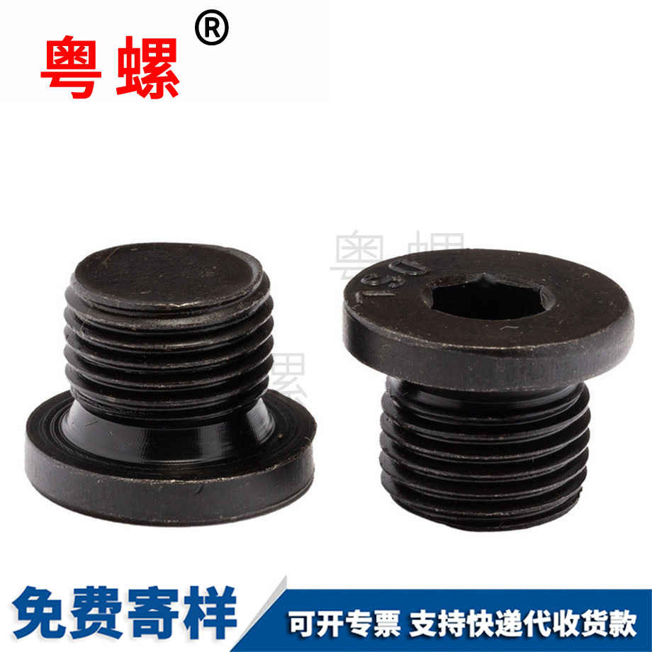 生產內六角法蘭面堵頭