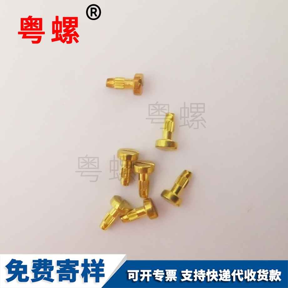 供應鐘表貴陽螺絲釘 供應鐘表貴陽螺絲釘