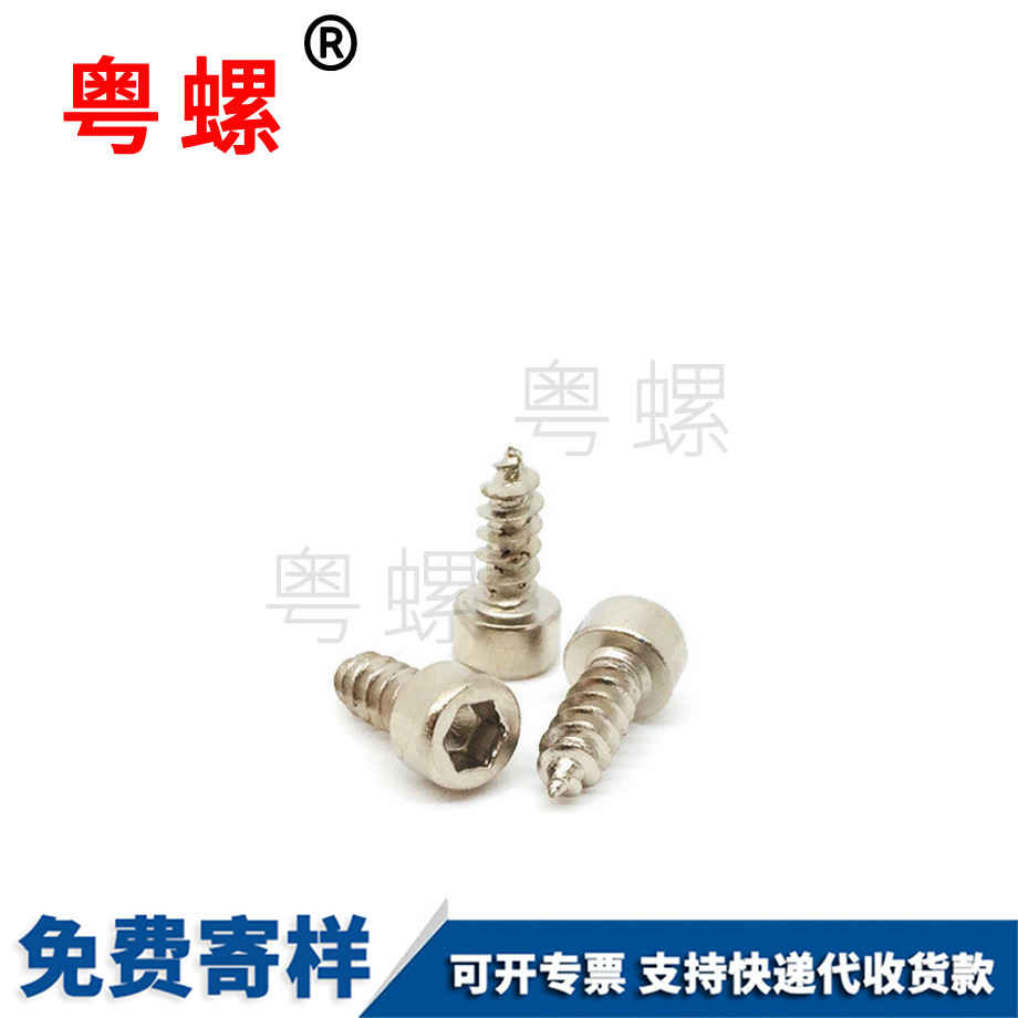 西雙版納圓柱頭螺絲 西雙版納圓柱頭螺絲