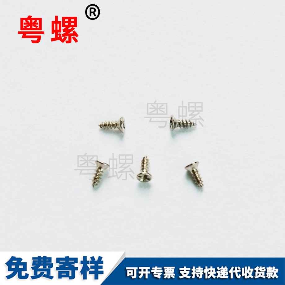 拉薩PWA帶介電子小螺釘