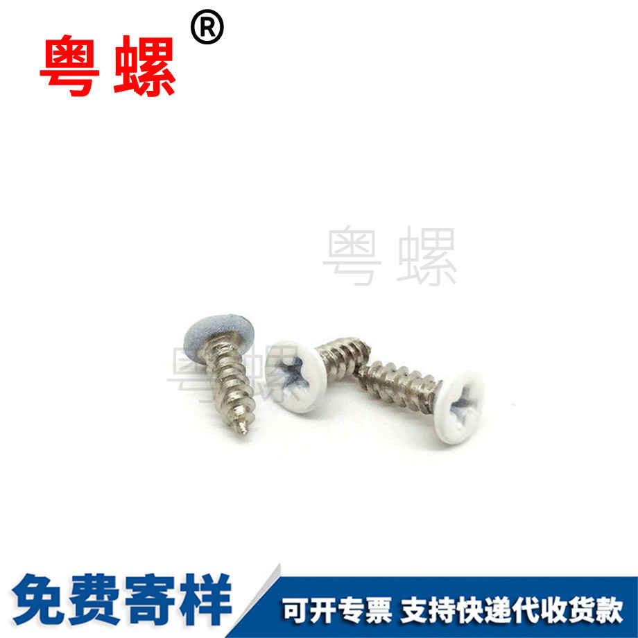 自貢自貢沉頭自貢自攻螺絲