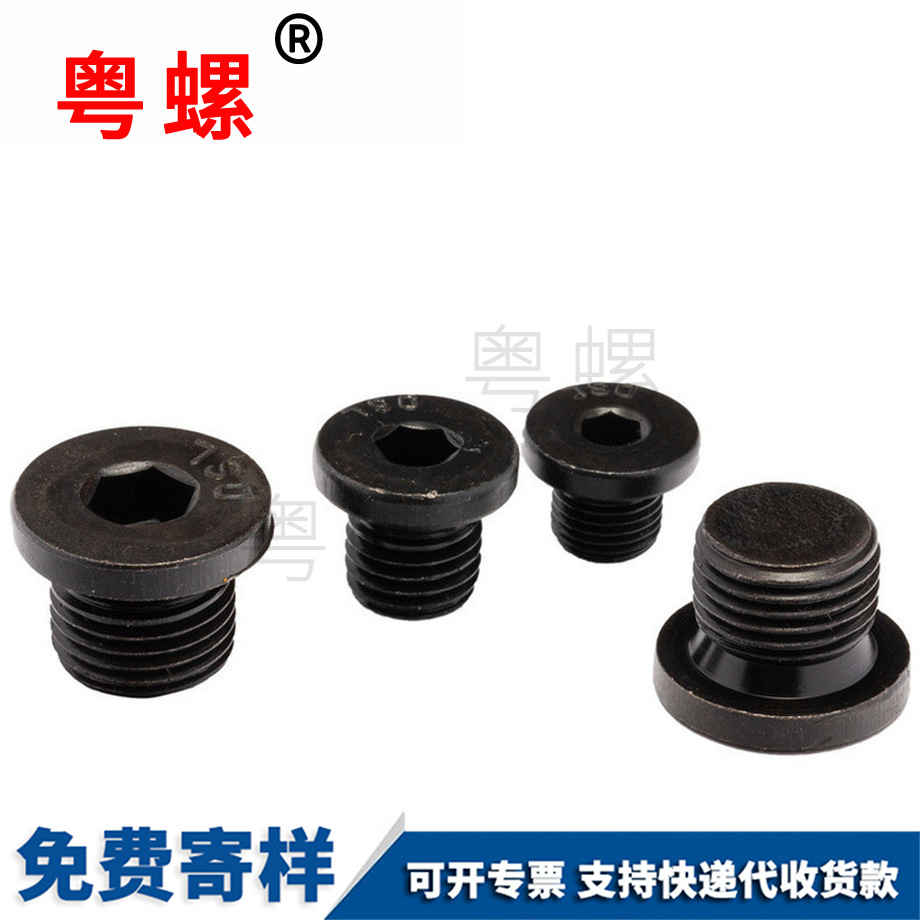 訂制內六角法蘭面安順堵頭