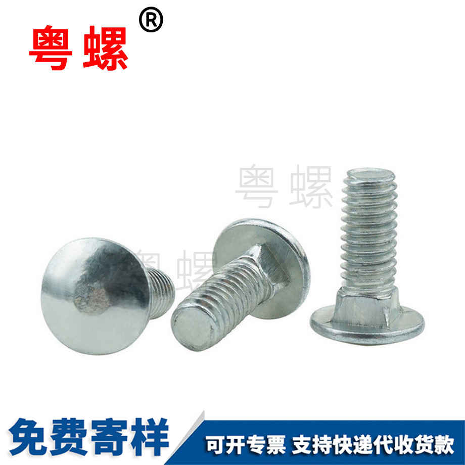 生產鍍鋅濱海馬車螺絲