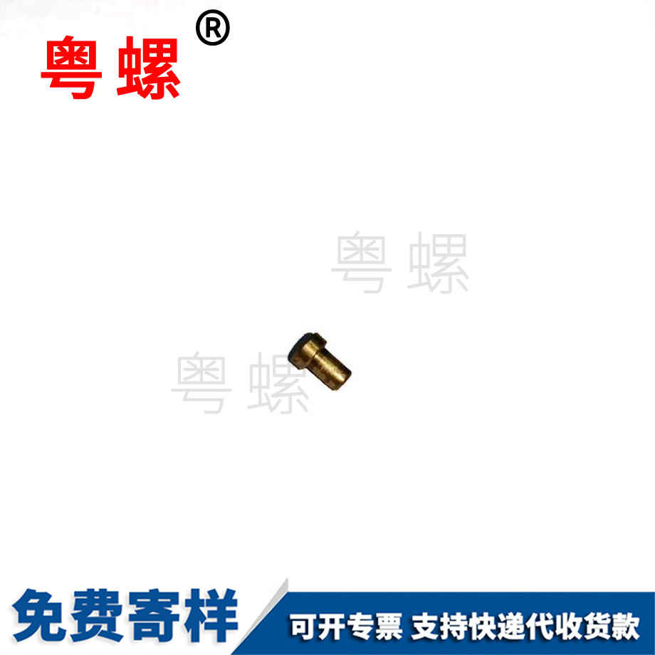 三沙三沙非標(biāo)三沙不銹鋼螺絲