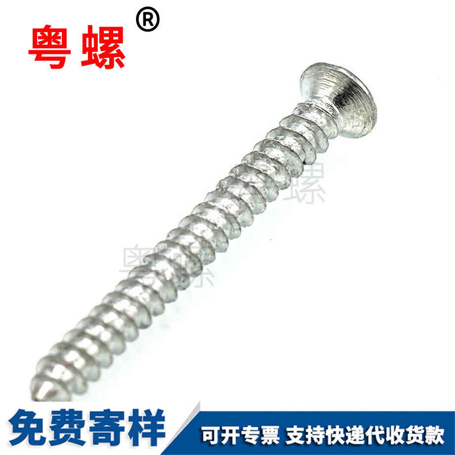 鍍鋅楚雄自攻螺絲