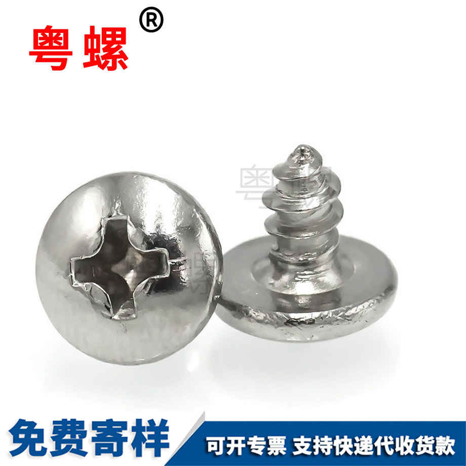 拉薩拉薩尖尾拉薩自攻螺絲 拉薩拉薩尖尾拉薩自攻螺絲