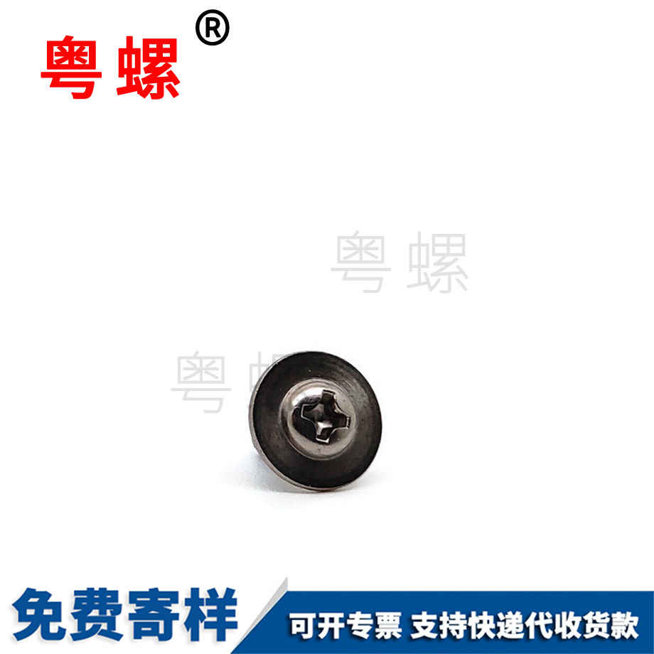 供應不銹鋼大西雙版納墊片