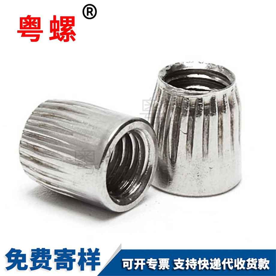 西雙版納錐形螺母 西雙版納錐形螺母