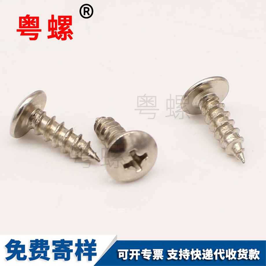 大同大扁頭自攻 大同大扁頭自攻