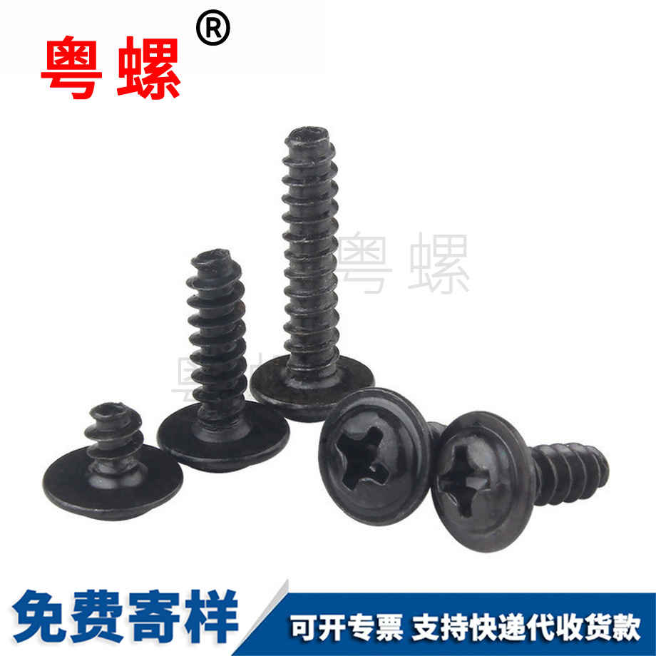 西雙版納自攻螺絲 西雙版納自攻螺絲