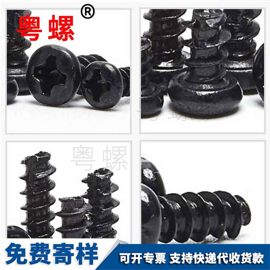 自攻西雙版納螺絲釘