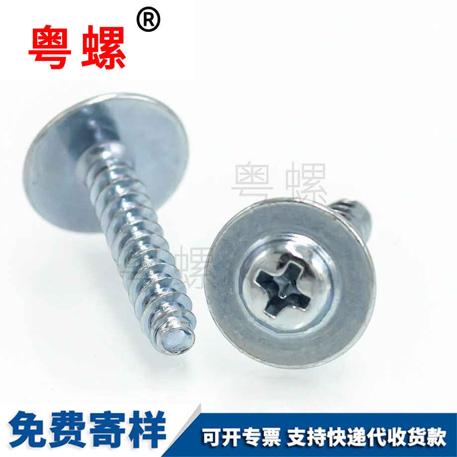 西雙版納介子螺絲 西雙版納介子螺絲