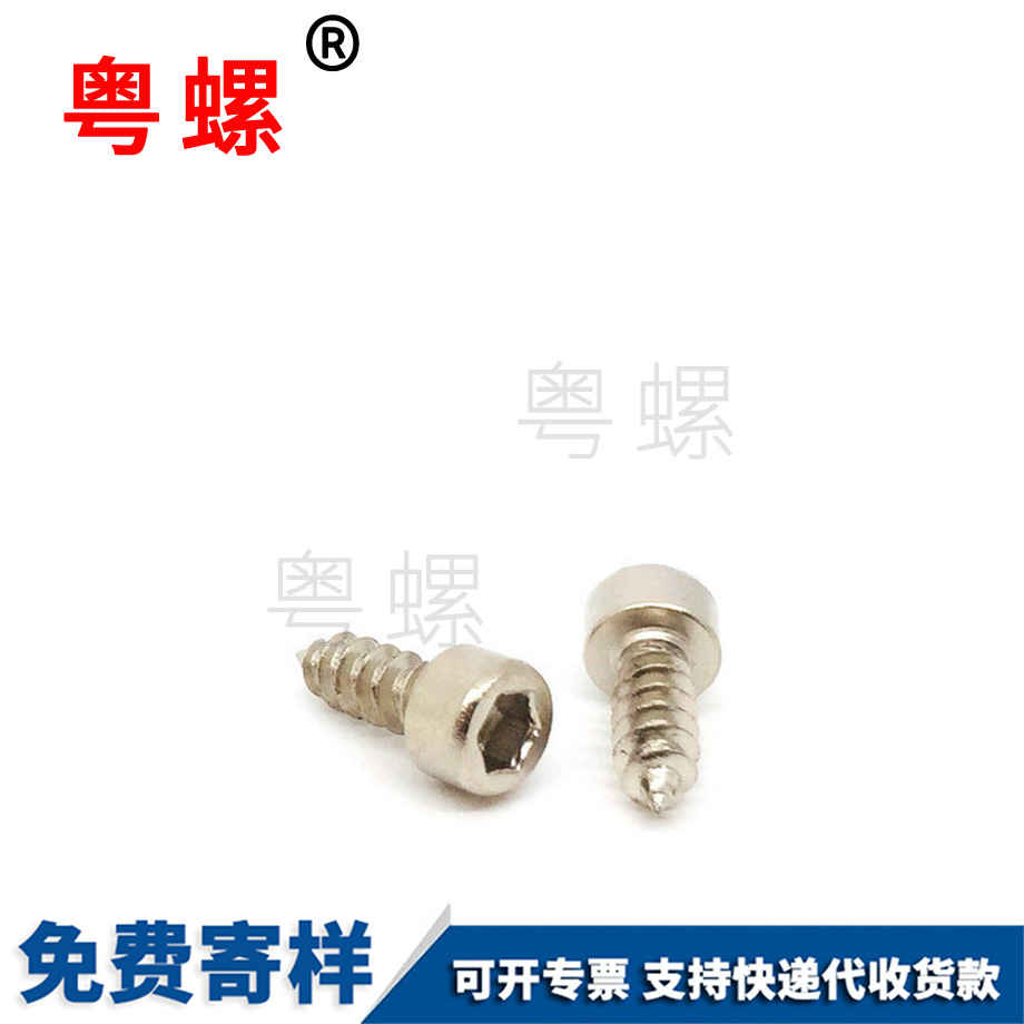 訂做非標西雙版納自攻螺絲